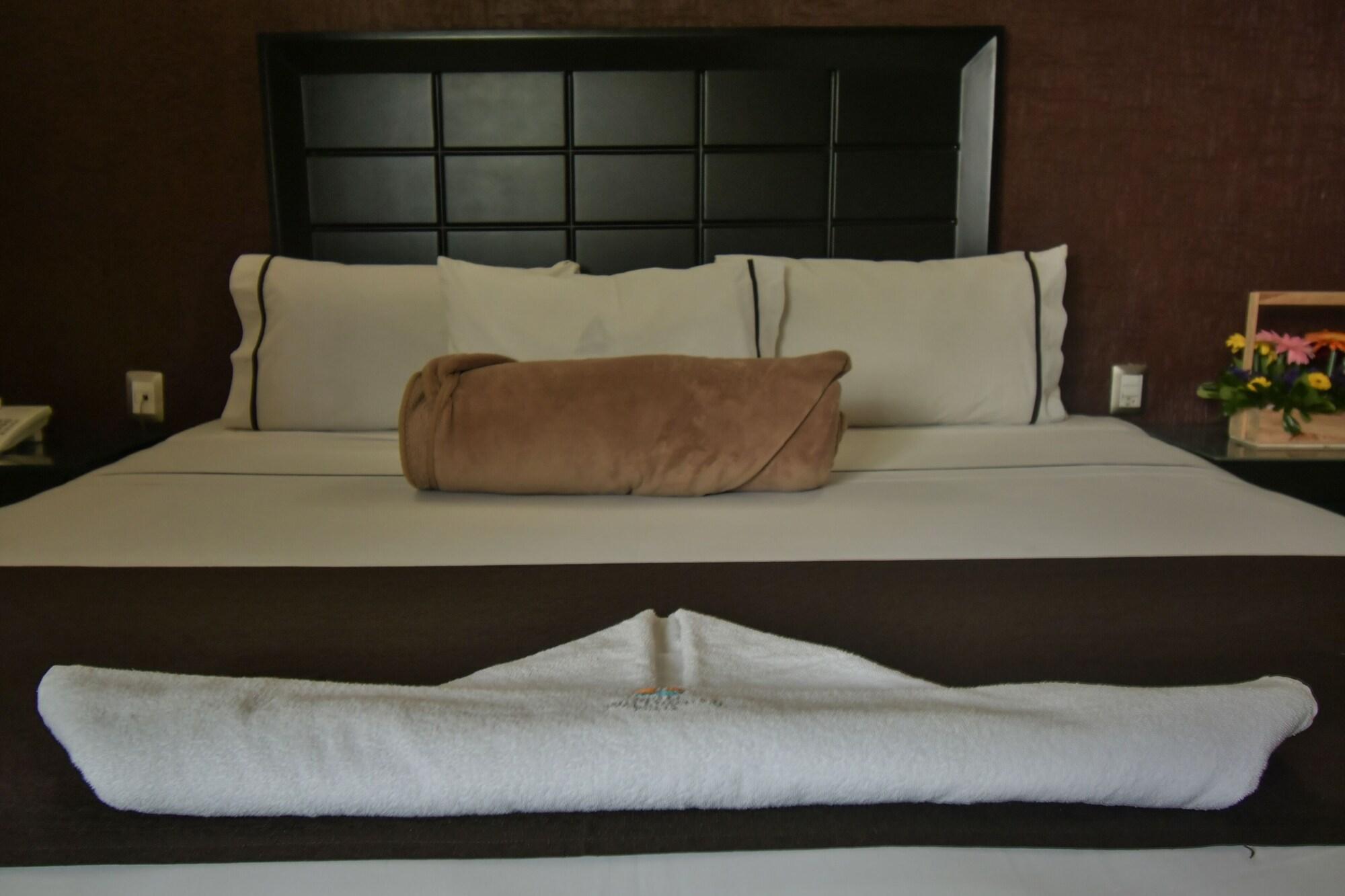 Hotel Portonovo Plaza Centro Guadalajara Buitenkant foto